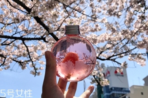 奈良金箔櫻花酒多少錢？奈良櫻花酒好喝嗎