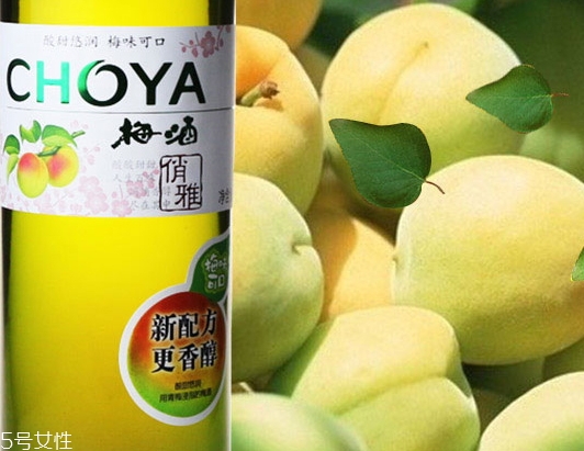 choya梅酒多少錢？多少度？
