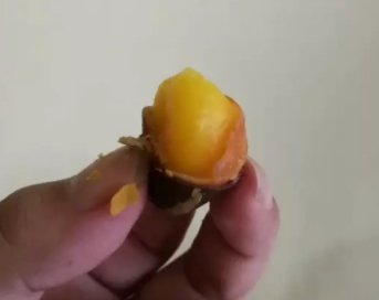 鳳眼果多少錢一斤？觀賞和口感兼具的鳳眼果