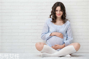 親潤和袋鼠媽媽哪個好用？孕婦專用品牌