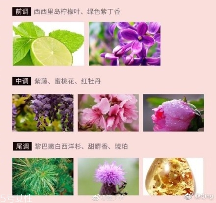 瀘州老窖香水多少錢(qián)？你身上有他的白酒味
