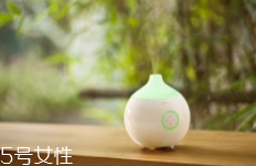 香薰什么味道好聞？佛系女孩推薦草木香