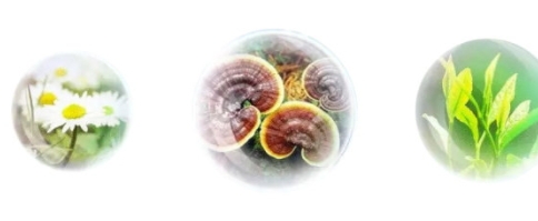 香蒲麗防曬霜怎么樣？從防曬值和成分說開去