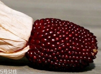 草莓玉米多少錢一斤？酷似草莓的玉米
