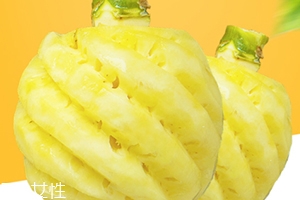 泰國(guó)迷你小菠蘿多少錢一斤？mini小菠蘿火遍泰國(guó)