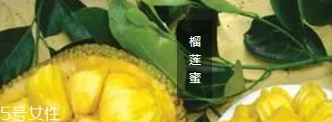 榴蓮蜜哪里能吃？哪里不能吃