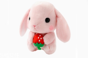 AMUSE玩偶是哪個國家的牌子？東京御宅族文化商品