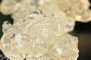 雪燕怎么清洗？雪燕怎么挑雜質(zhì)