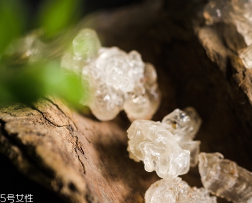 雪燕和銀耳哪個好？其實可以一起食用