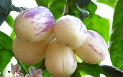 香瓜茄孕婦可以吃嗎？香瓜茄功效多