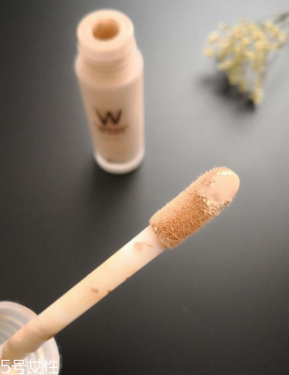 wlab粉底液好用嗎？全方位實測wlab粉底液效果