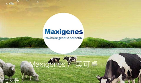 藍胖子奶粉和德運奶粉哪個好？