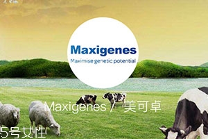 藍(lán)胖子奶粉適合什么人？成人可以喝嗎？