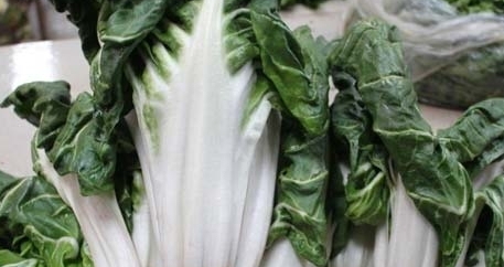 牛皮菜是發(fā)物嗎？牛皮菜有毒嗎