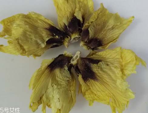 秋葵花怎樣曬干？自然風(fēng)干最佳