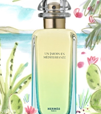 dior迪奧香水和愛馬仕香水哪個好？