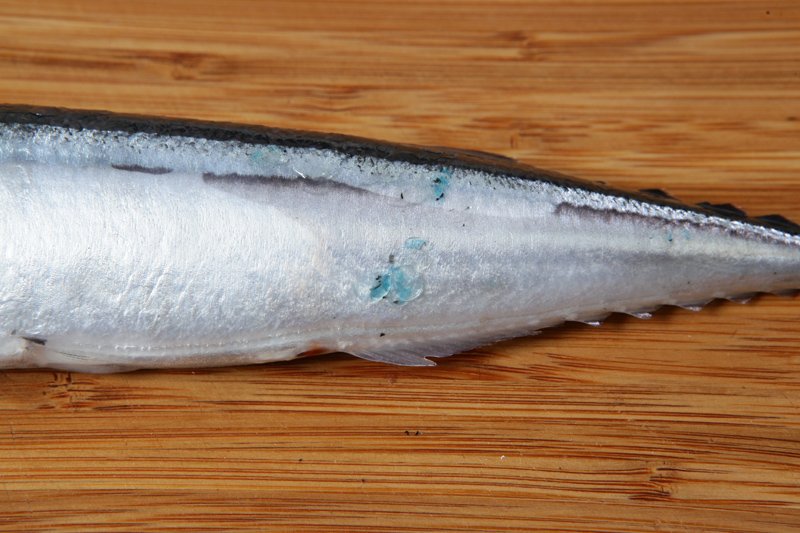 秋刀魚怎么處理？秋刀魚怎么挑選