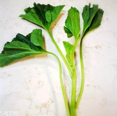 冬寒菜多少錢一斤？
