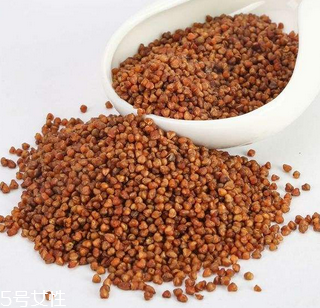 黑苦蕎茶上火嗎？蒸煮法苦蕎茶不上火