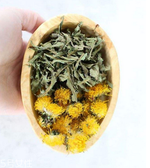 蒲公英茶哪些人不宜喝？這三種人要避開