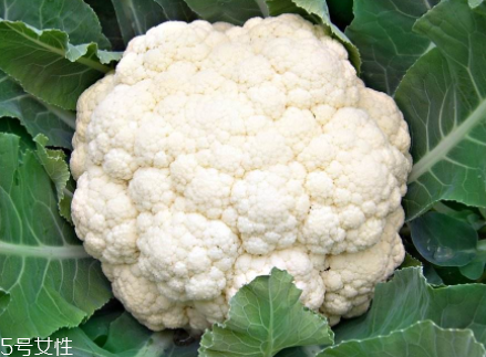 花菜在冰箱能放幾天？不要超過(guò)7天