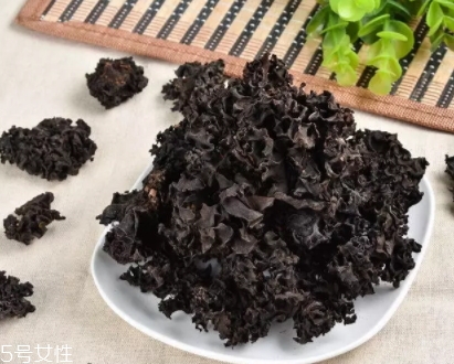 血耳多少錢一斤？來自大山的饋贈