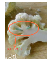 花菜怎么洗才干凈？一定要把蟲子洗掉