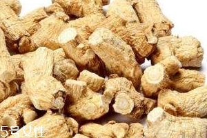 西洋參是哪里產(chǎn)的？長白山為主要產(chǎn)地