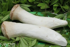 杏鮑菇熟了是什么樣？變軟了就能吃