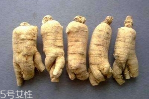 西洋參會(huì)回奶嗎？不用擔(dān)心這個(gè)問(wèn)題