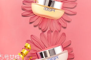 bsr博生能是什么牌子？哪國的