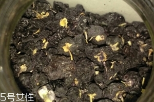 黑枸杞還還是紅枸杞好？各有千秋