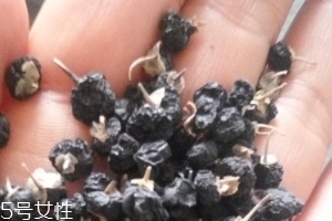 黑枸杞為什么是藍色？花青素的原因