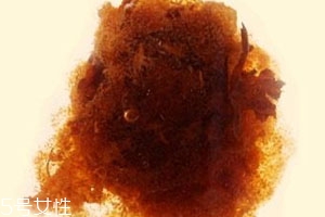胖大?？梢院筒枞~一起泡嗎