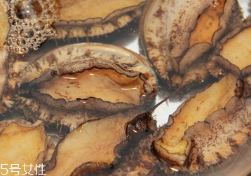 鮑魚罐頭怎么打開？像八寶粥一樣拉開