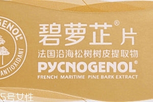 碧蘿芷到底好不好？帶你了解碧蘿芷