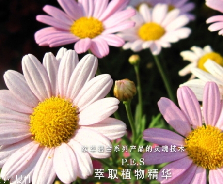 歐萃碧護膚品怎么樣？法國藥妝品牌