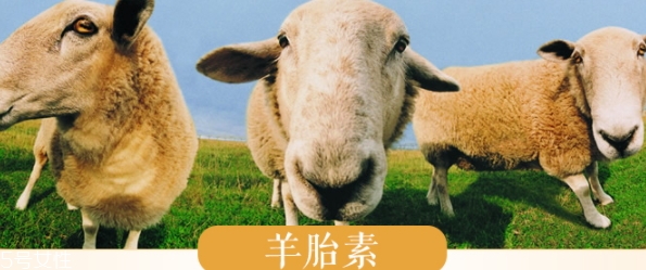 羊胎素和玻尿酸哪個好？