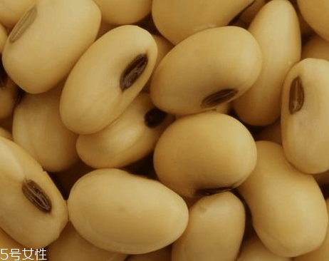 卵磷脂兒童可以吃嗎？可以適當服用