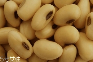 卵磷脂通乳嗎？這個(gè)還不一定