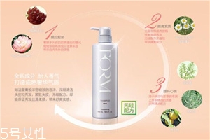pola馥美修護洗發(fā)水價格 細(xì)軟油性發(fā)質(zhì)的最愛