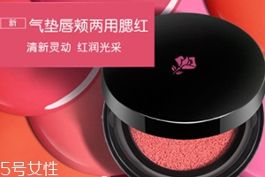 2018氣墊腮紅哪個牌子好？
