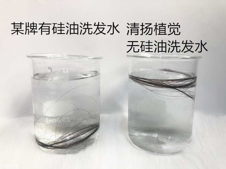 清揚0硅油洗發(fā)水好用嗎？自帶高級感香調