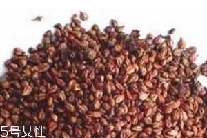 葡萄籽是飯前吃還是飯后吃？最全吃法