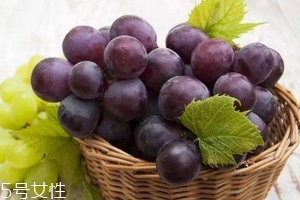 葡萄籽是雌激素嗎？一般是不含的