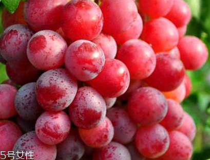 葡萄籽會(huì)發(fā)胖嗎？不會(huì)發(fā)胖