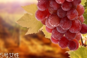 葡萄籽會便秘嗎？葡萄籽能緩解便秘
