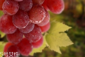 葡萄籽泡水喝有作用嗎？美容保健
