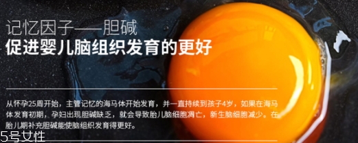 黃金素和dha可以一起吃嗎？