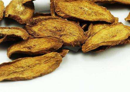 牛蒡茶是什么做的？牛蒡茶是樹(shù)根嗎？